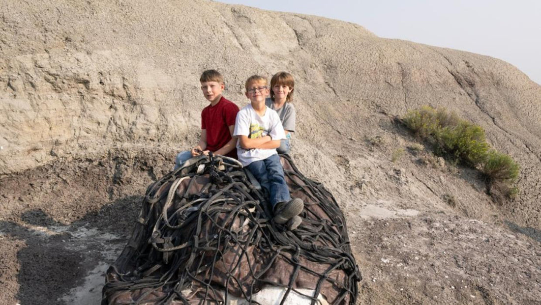 We Found T-Rex