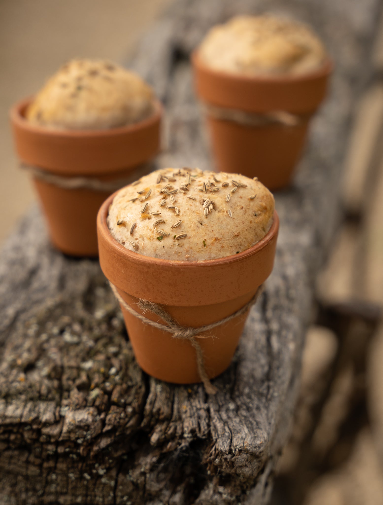 Garlic & Herb Flowerpot Bread