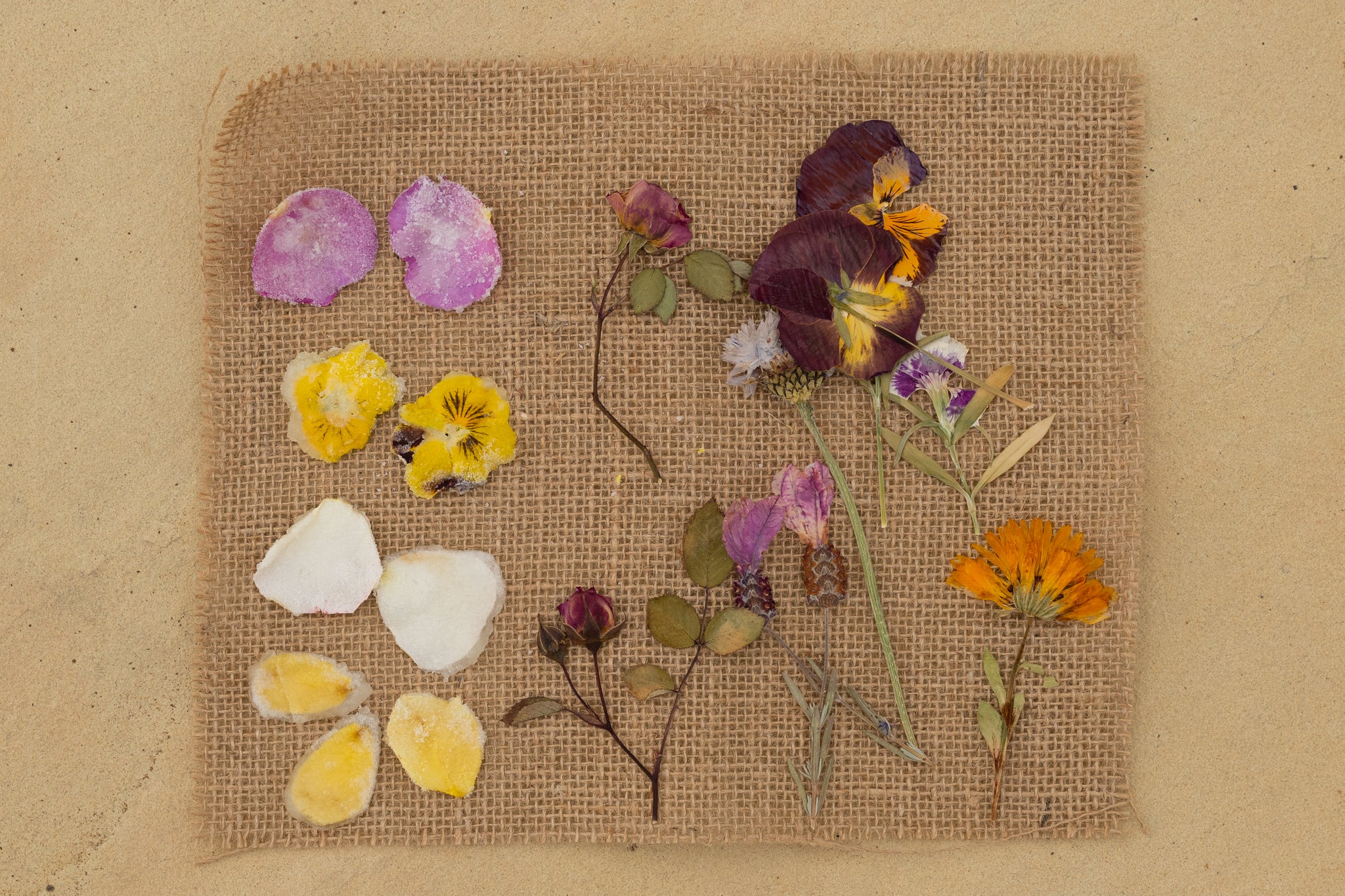 crystallised flowers – Tangleby Gardens