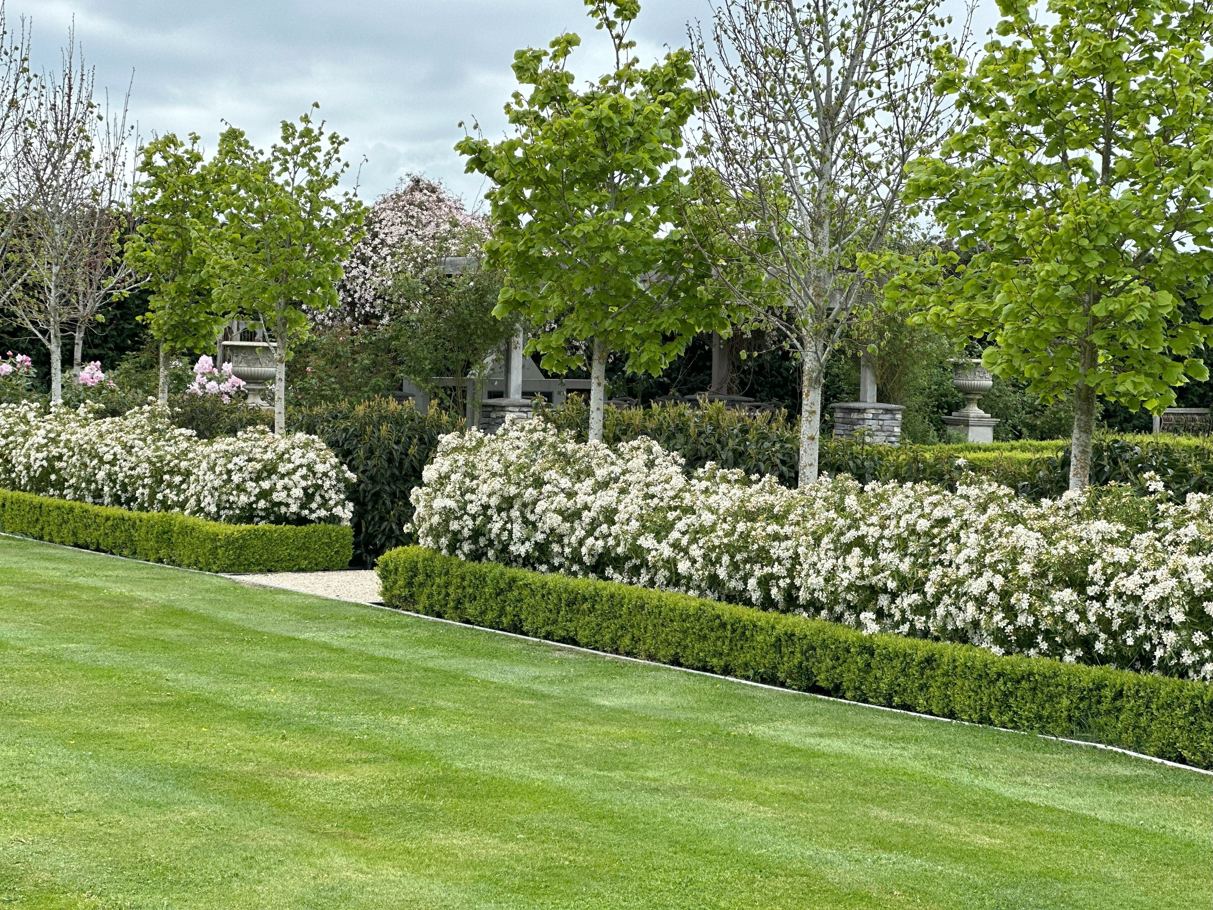 Introduction – Tangleby Gardens