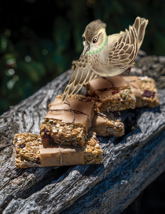 Skye’s Birdseed Bar