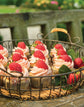 Tangleby Gardens Beautiful Baking - due out late September, Pre-order now.